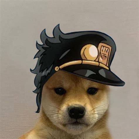Jotaro Dogwifhat Dogwifhat Jojo Anime Dog Icon Jojo Memes