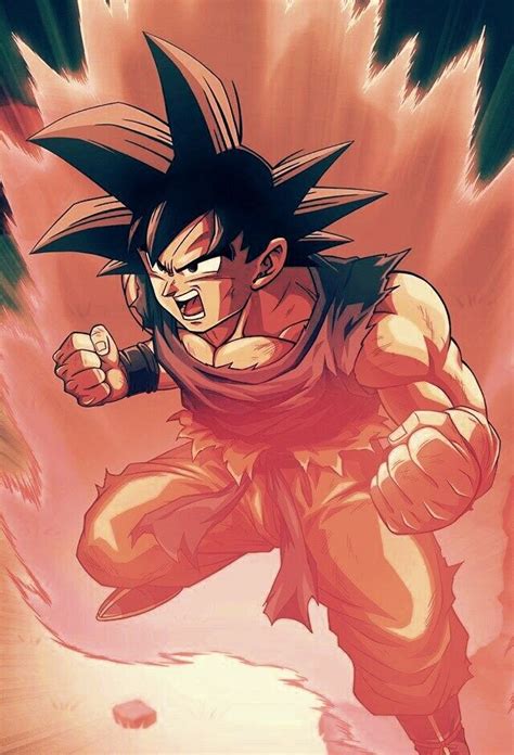 Goku Kaioken X20 Personajes De Dragon Ball Arte De Aves Dragones