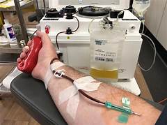 Plasma Donation Alchemy Turning Your Blood Into Gold In Bozeman
