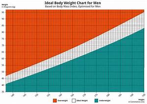 Ideal Body Mass Index Chart Information Weight Loss Surgery