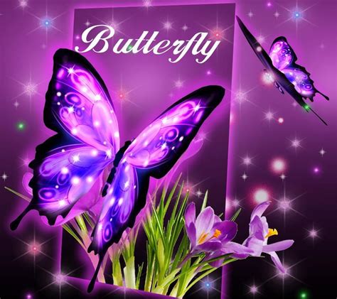 mariposa voladora live wallpaper violeta púrpura mariposa diseño gráfico polillas y mariposas