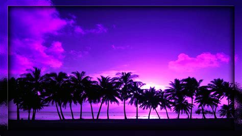 Palm Tree Sunset Wallpaper 70 Images
