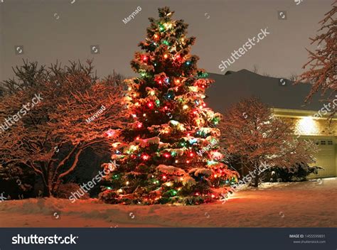 Christmas And New Year Outdoor Decoration Backgroundcovered By Fresh
