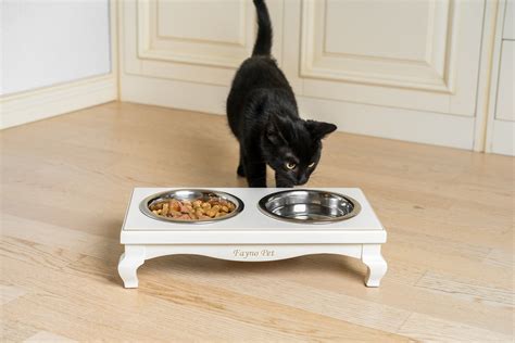 Premium Design Elevated Cat Feeder Raised Cat Feeding Station Etsy