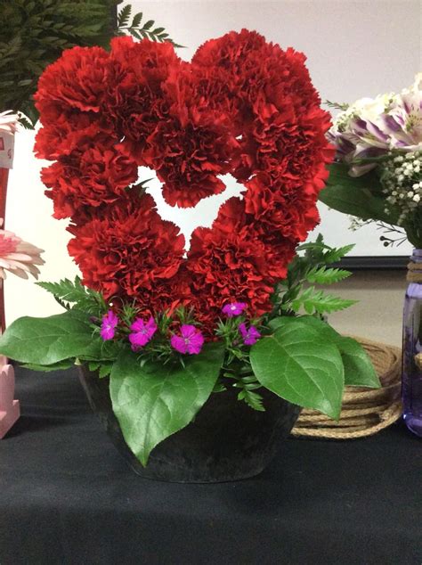 Carnation Heart Carnations Floral Plants