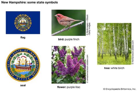 New Hampshire State Symbols Kids Britannica Kids Homework Help