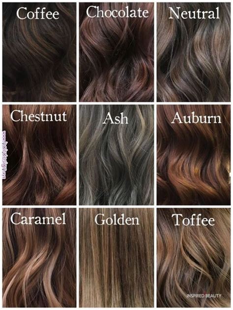 Hair Color Ideas For Brunettes That You Want To See Haar Haar Kleuren Donkerblond