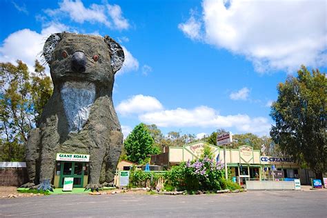 Why Australias Big Things Are The Ultimate Roadside Attractions