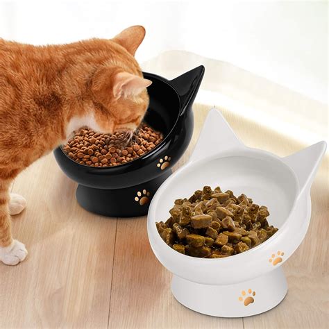 Cat Bowls For Indoor Cats 2 Pack Ceramic Raised Slanted