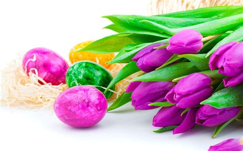 Purple Tulip Flowers With Easter Eggs 2560x1600