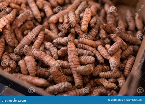 Dried Turmeric Rhizomes In Cardboard Box For Sale Stock Photo Image