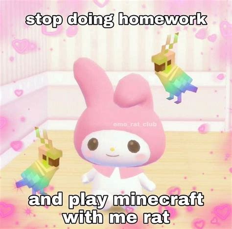 Pin By Haley On Sanrio Images In 2020 Cute Memes Baby Memes Cute