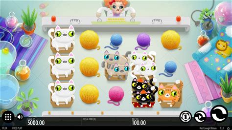 Not Enough Kittens Slot Thunderkick Review 2023 And Free Demo Game