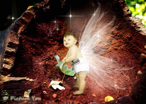 Baby Boy Fairy Photography Fairy Photography Photography Fairy