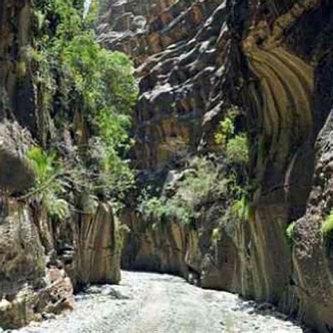 Sar 35 per personmy suggestion?? Entrance of wadi lajab from the valley - Saudi دخول وادي ...