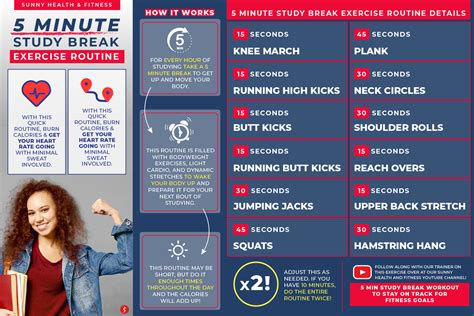5 Minute Study Break Exercise Routine Sunny Health And Fitness