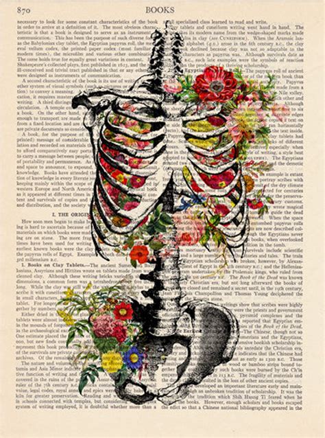 Anatomy Print Medical Poster Anatomical Illustration Skeleton With