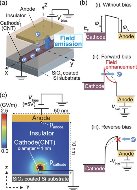A Schematic Of The Carbon Nanotube Based Field Emission Nanodiode