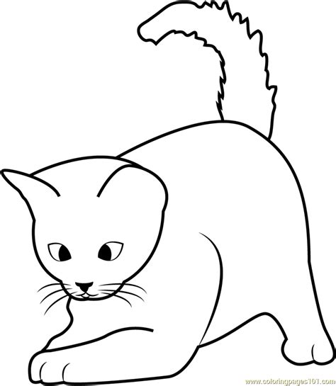 In 2013, friskies asserted that 15 percent of internet traffic is kitten and. Cute Kitten Playing Coloring Page - Free Cat Coloring ...