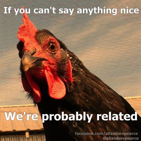 If You Cant Say Anything Nice Were Probably Related Funny Farm