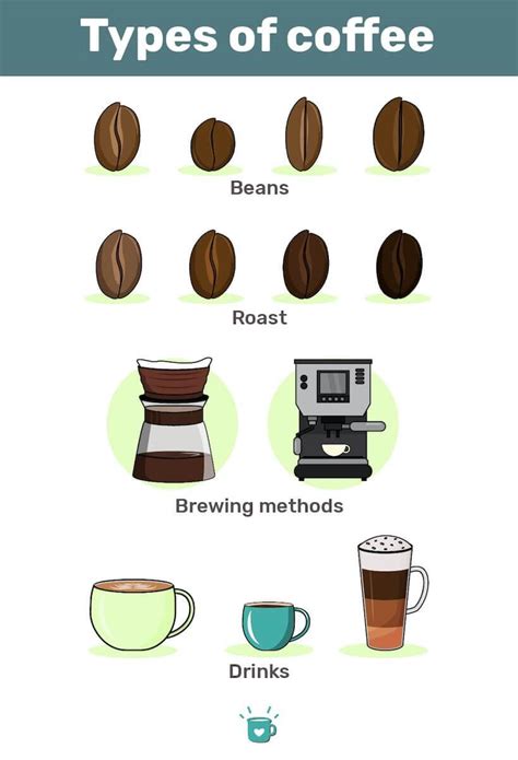 The 18 Different Types Of Coffee Drinks Explained Atelier Yuwaciaojp