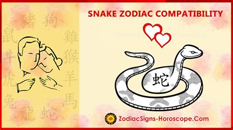 Snake Compatibility Love And Marriage Chinese Zodiac Compatibility