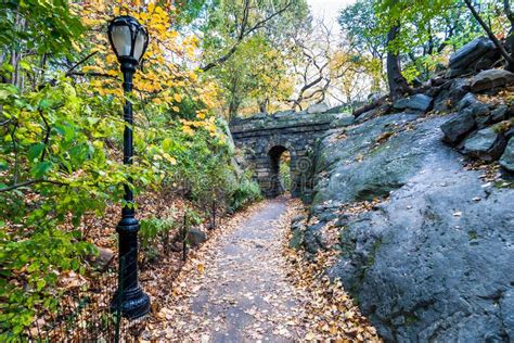 Central Park In November Stock Photo Image Of Green 103144554