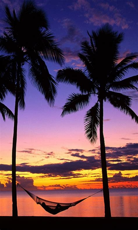 55 Best Fiji Sunsets Images On Pinterest Fiji Fiji