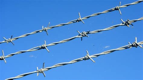 What Is the Meaning of Barbed Wire Tattoos?