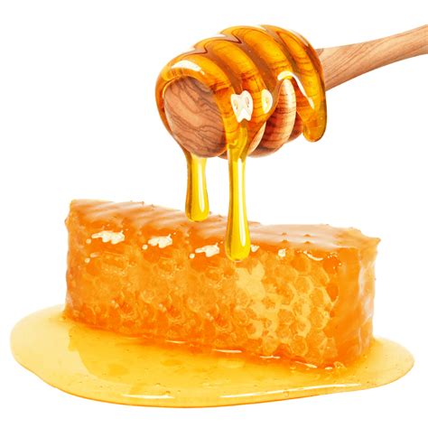 Honey Png Images Transparent Free Download Pngmart Com