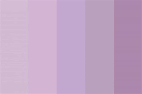 Lavender Color Coloring