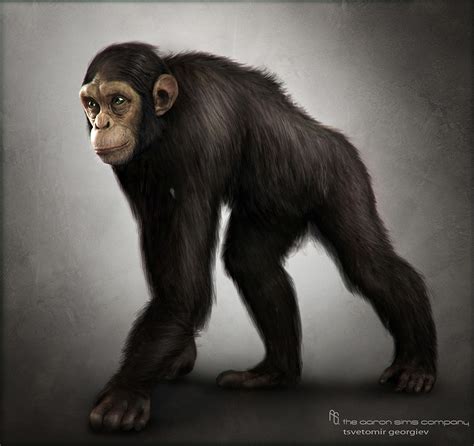 We did not find results for: chimp3 | Coolvibe - Digital ArtCoolvibe - Digital Art