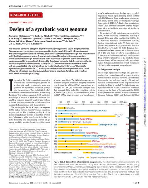 Pdf Design Of A Synthetic Yeast Genome