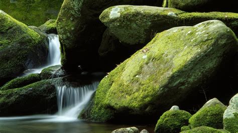 Wallpaper Landscape Forest Waterfall Rock Nature Green River