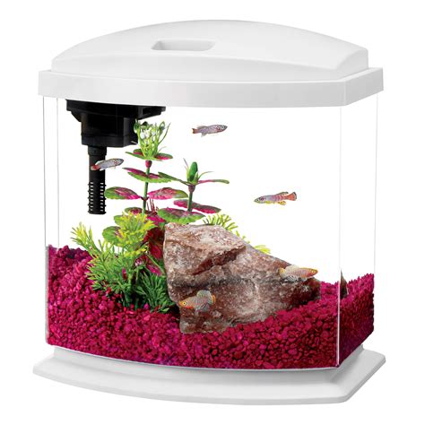 Aqueon 25 Gallon Minibow Led Desktop Fish Aquarium Kit White Petco