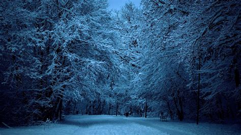 Snow Covered Winter Street At Dusk Full Hd Wallpaper And Background
