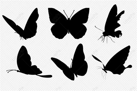 Butterfly Silhouette Images Hd Pictures For Free Vectors Download