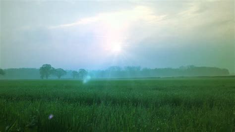Early Morning Misty Sunrise Over Fields Stock Footage Video 6144302