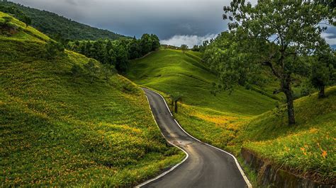 Download Tree Green Country Man Made Road Hd Wallpaper