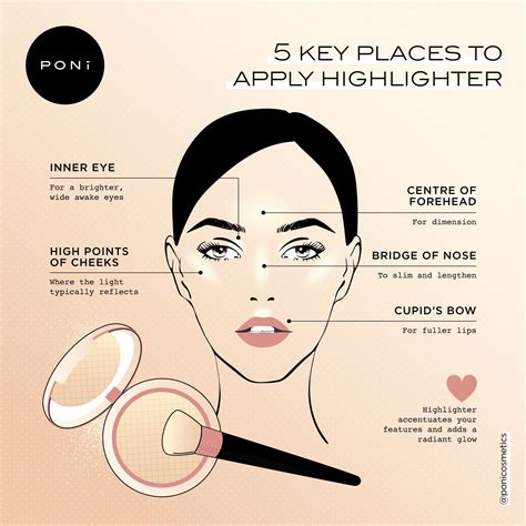Beginners Guide Where To Apply Highlighter Poni Cosmetics Poni