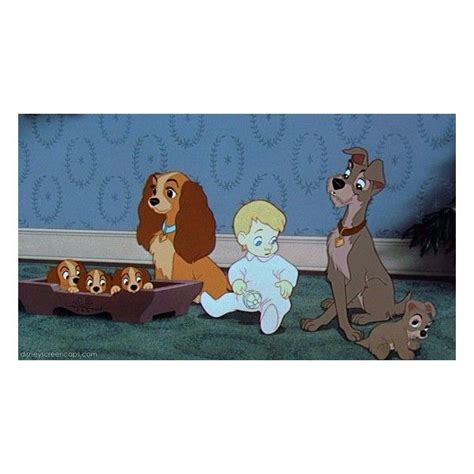Lady And The Tramp 1955 Liked On Polyvore Lady And The Tramp