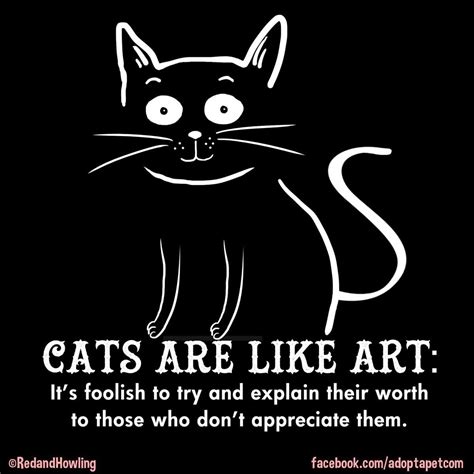 Pin By Carol Grabitske Fetzer On Kitty Love Crazy Cats Cat Quotes Cats