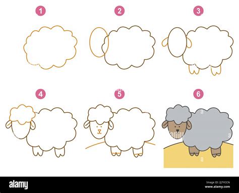 Instructions For Drawing Lamb Step By Step Stock Vector Image Art Alamy