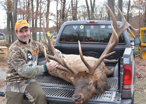 Largest Modern Day Elk Harvest Reported By Pennsylvania Game Commission