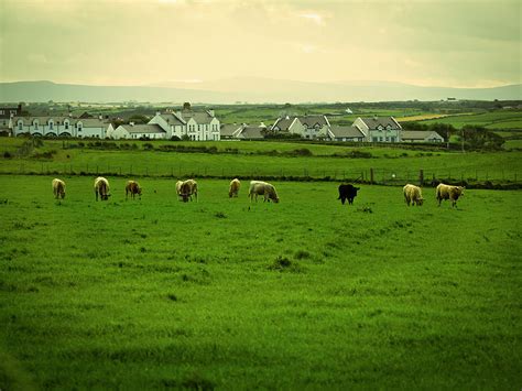 Irish Farm By Haoliang
