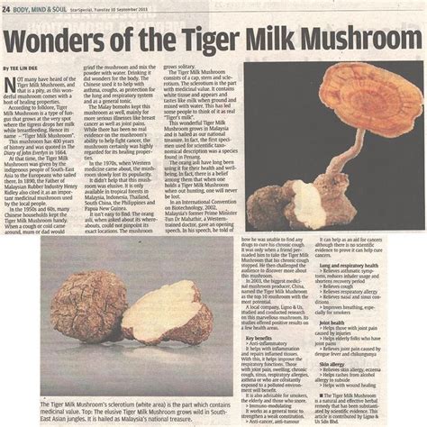 Get the item you ordered or get your money back. Tigerus Tiger Milk Mushroom Sclerotia 60's - Improve ...