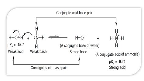 Ammonia in and of itself is neither a base nor an acid. organic chemistry - Why In This Reaction Acetic Acid is ...