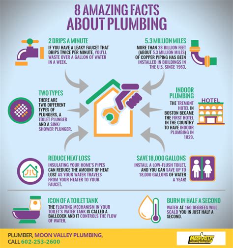 8 Amazing Facts About Plumbing Shared Info Graphics