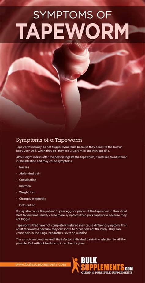 Taeniasis Tapeworm Causes Symptoms And Treatment