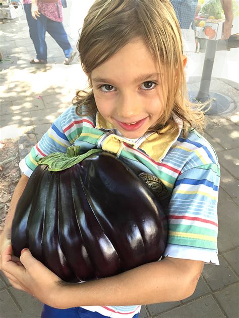 How To Cook An Eggplant Goodfoodfighter